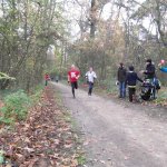 Lebkuchenlauf 2013