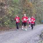 Lebkuchenlauf 2013