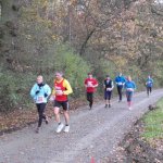 Lebkuchenlauf 2013