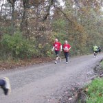 Lebkuchenlauf 2013