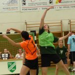 Triple-Turnier 2015