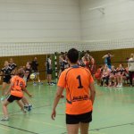 Triple-Turnier 2015